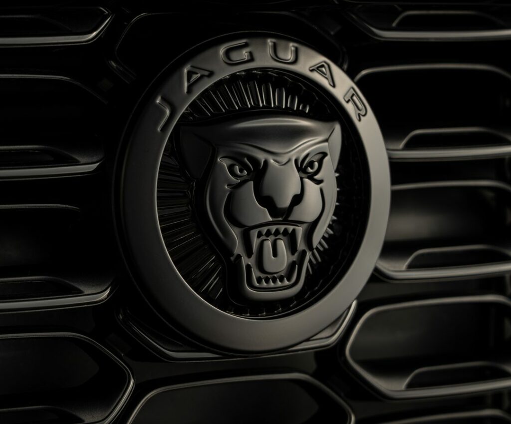 THE JAGUAR CASE…